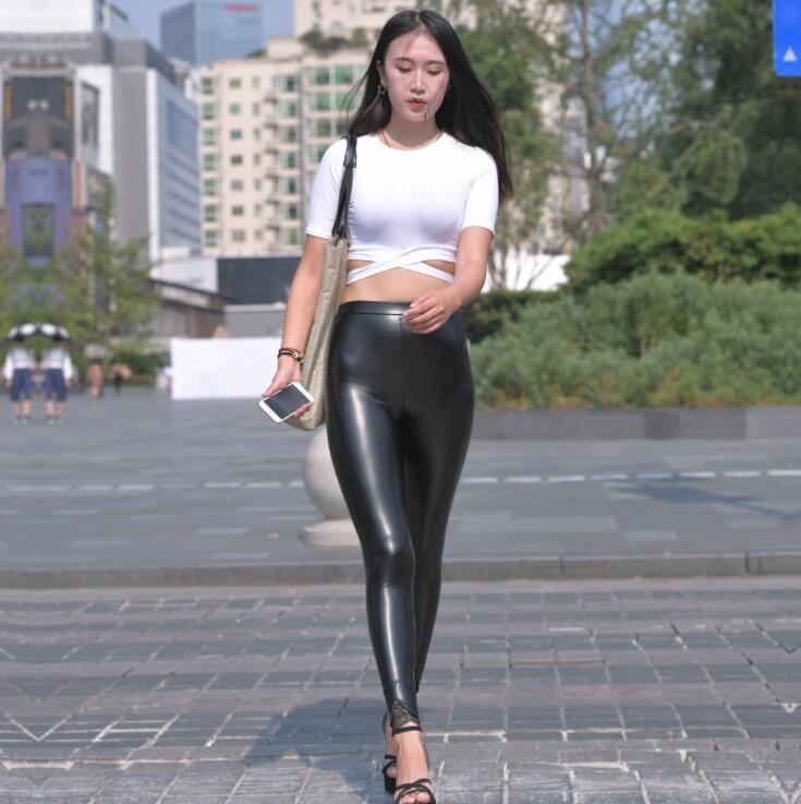 猫咪社区高清视频下载