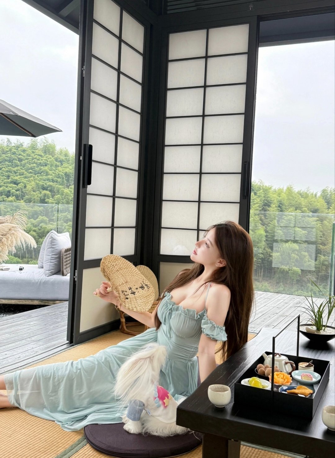 春雨APP下载